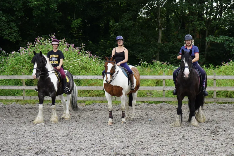 longsight stables & tack shop