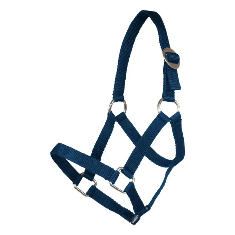HKM Mini-Shetty Head Collar Blue