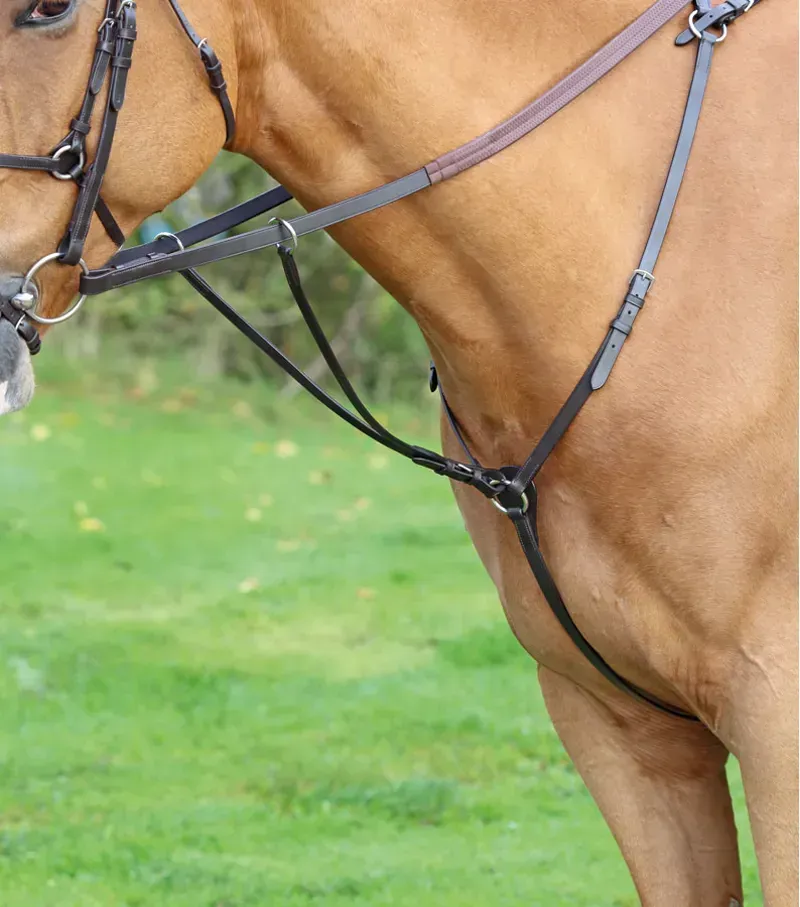 Aviemore Hunt Weight Breastplate in Black