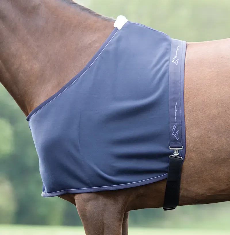 Shires Fleece Vest In Blue