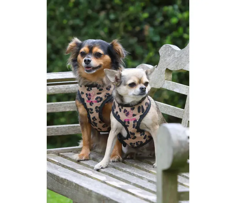 Digby and Fox Print Harness in Leopard