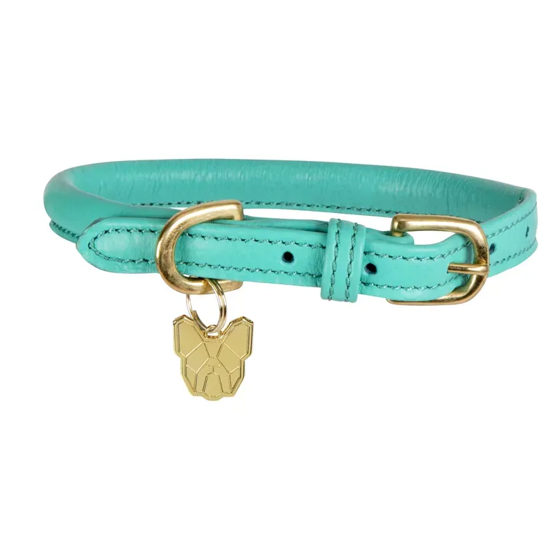 Digby & Fox Rolled Leather Dog Collar TEAL