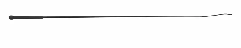 Economy Schooling Whip BLACK