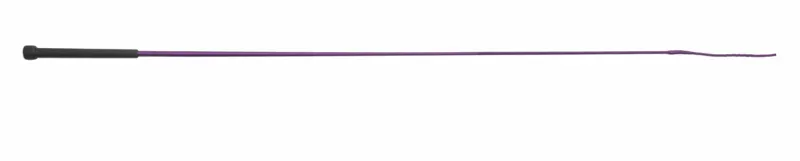Economy Schooling Whip PURPLE