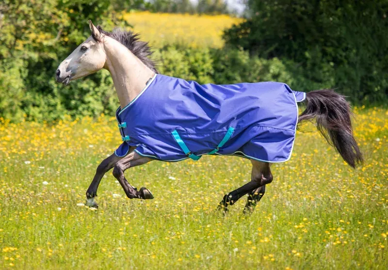 Tempest Original 100 Turnout Rug in Navy