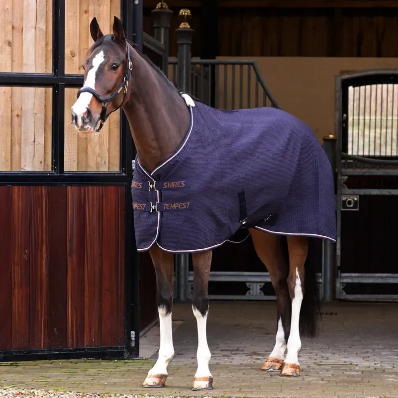 Tempest Original Waffle Rug in Navy