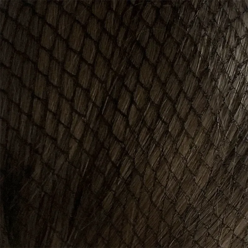 Bitz Twin Pack Standard Hairnets in Black