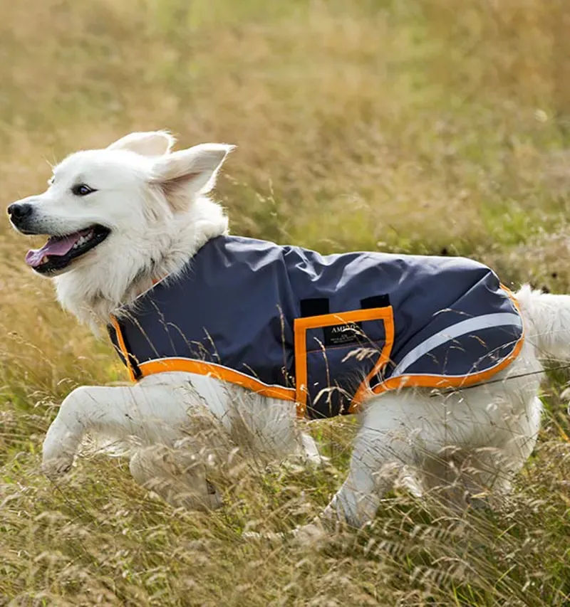 Horseware Amigo Waterproof Dog Rug in Excalibur/Orange