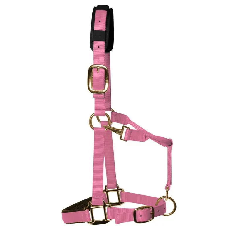 KM Elite Padded Headcollar in Baby Pink