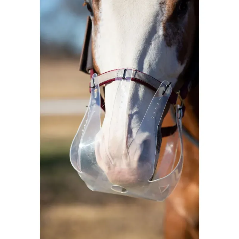 ThinLine Flexible Filly Grazing Muzzle in Clear