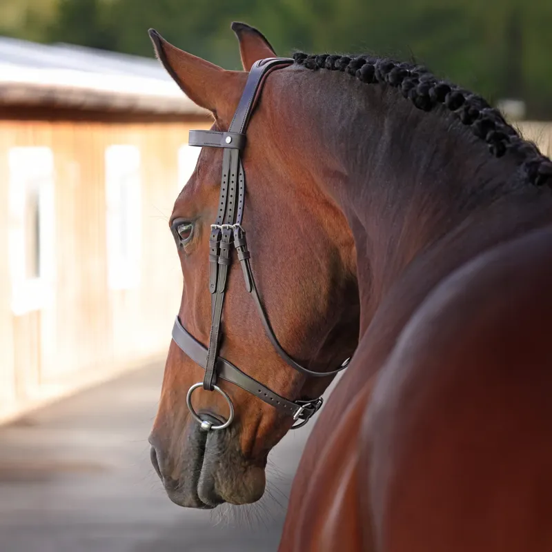 Velociti LUSSO Elite Hunter Bridle HAVANA-1