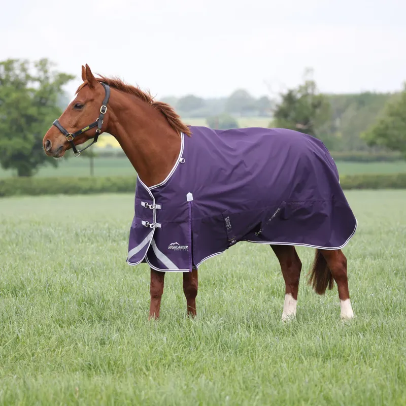 Highlander Original 100 Turnout Rug PLUM