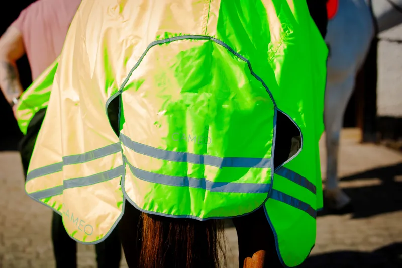 Cameo Wrap Around Exercise Sheet