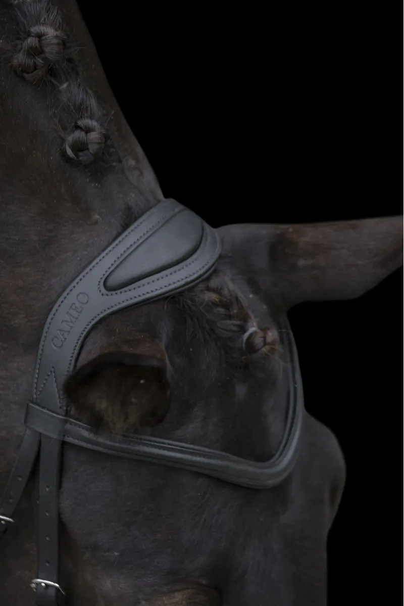 Cameo Anatomic Comfort Bridle-1