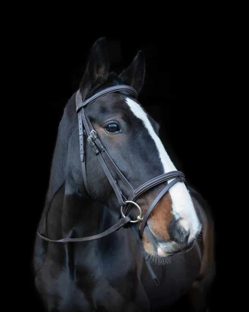 Cameo Anatomic Comfort Bridle-1