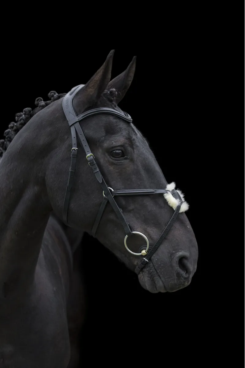Cameo Anatomic Grackle Bridle / Black / Full-1