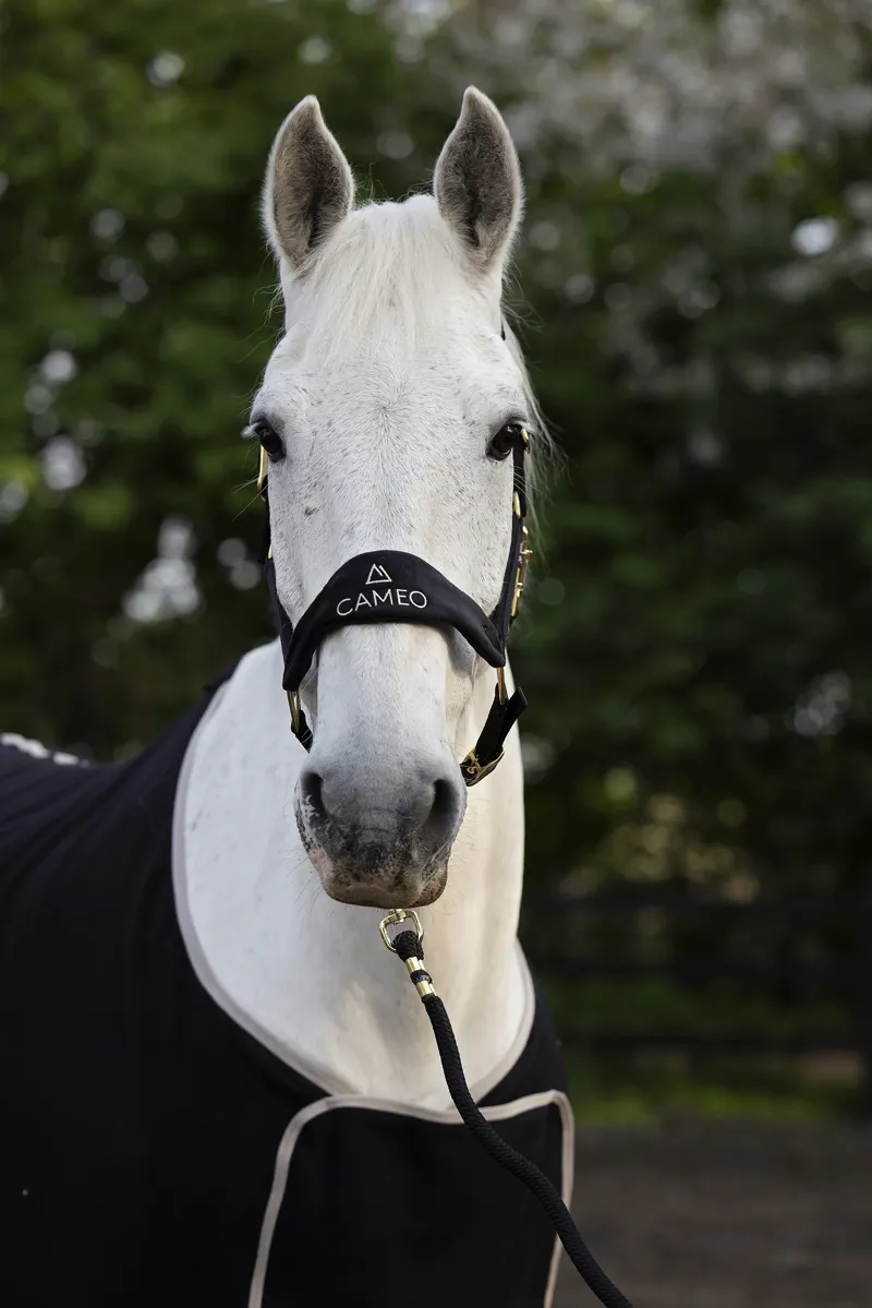 Cameo Suede Elite Headcollar and Leadrope Mocha-1