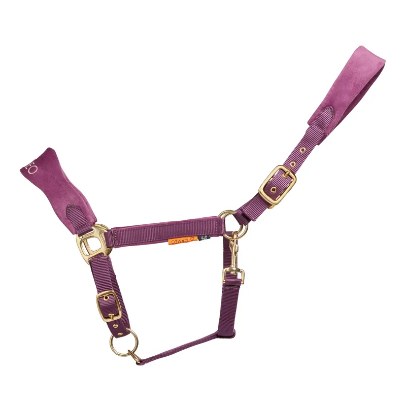Cameo Suede Elite Headcollar and Rope Deep Purple