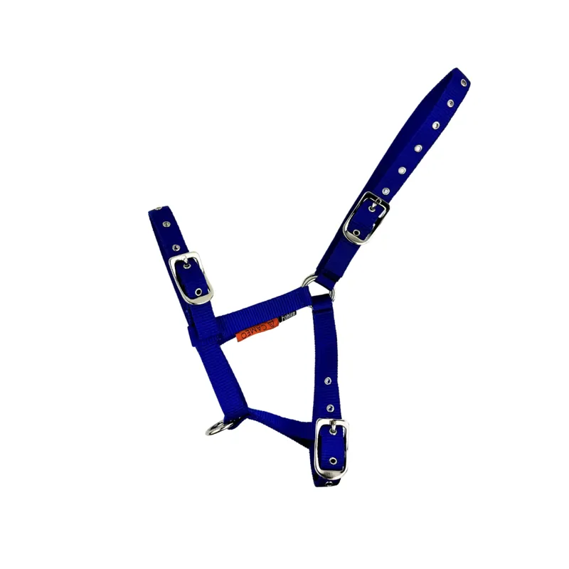 Cameo Foal Headcollar / Royal