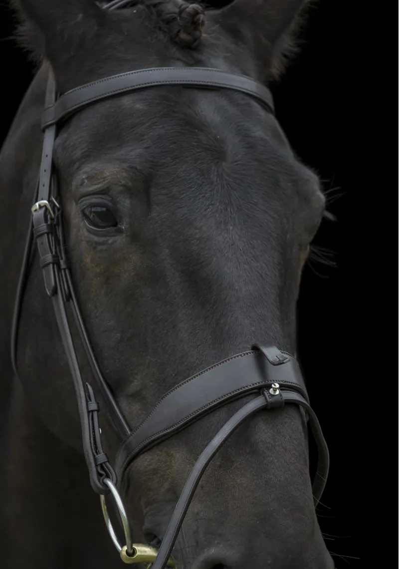 Ecorider Classic Show Comfort Bridle / Brown / Pony-3