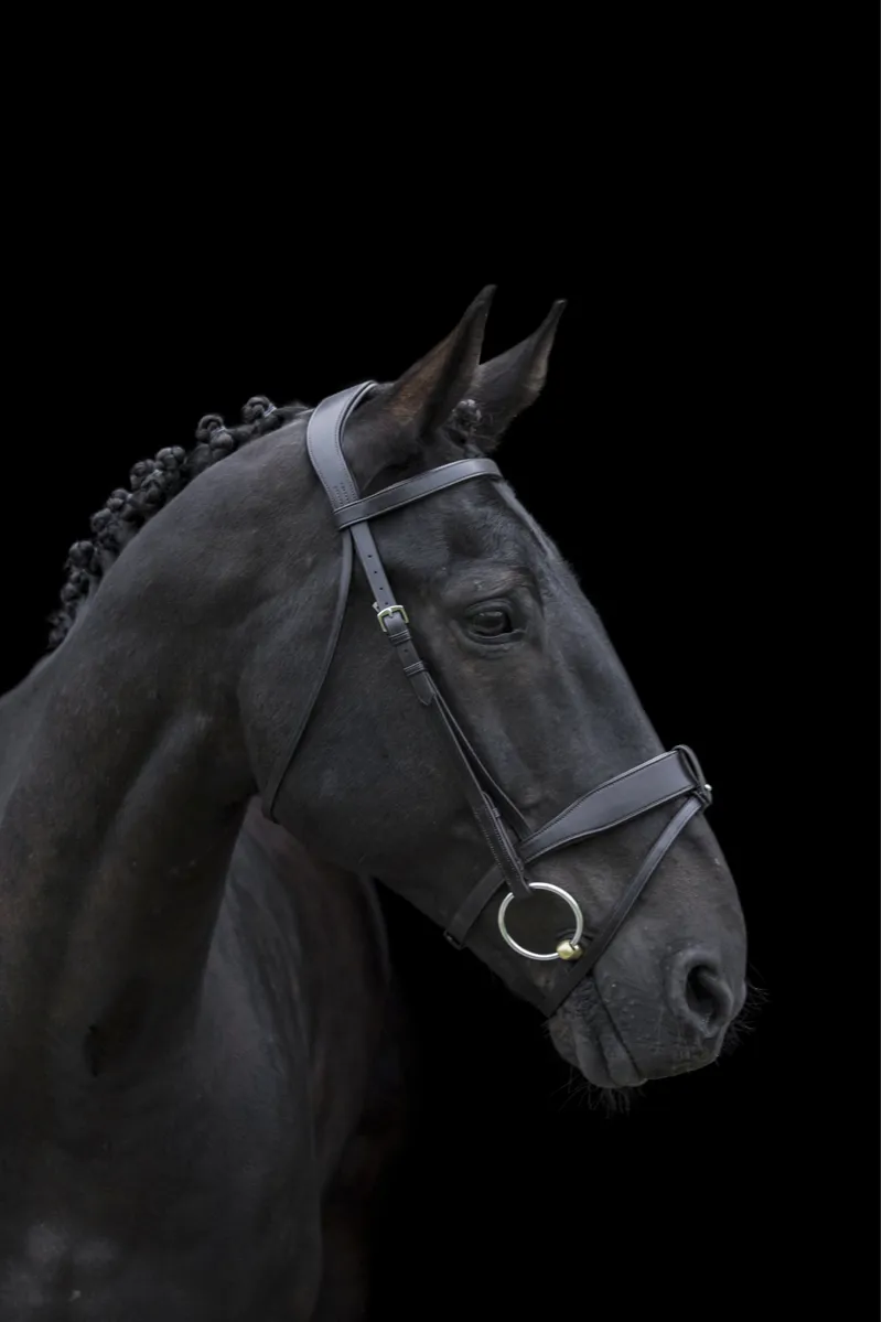 Ecorider Classic Show Comfort Bridle / Brown / Pony-5