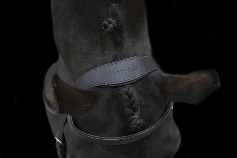 Ecorider Classic Show Comfort Bridle / Brown / Pony-6