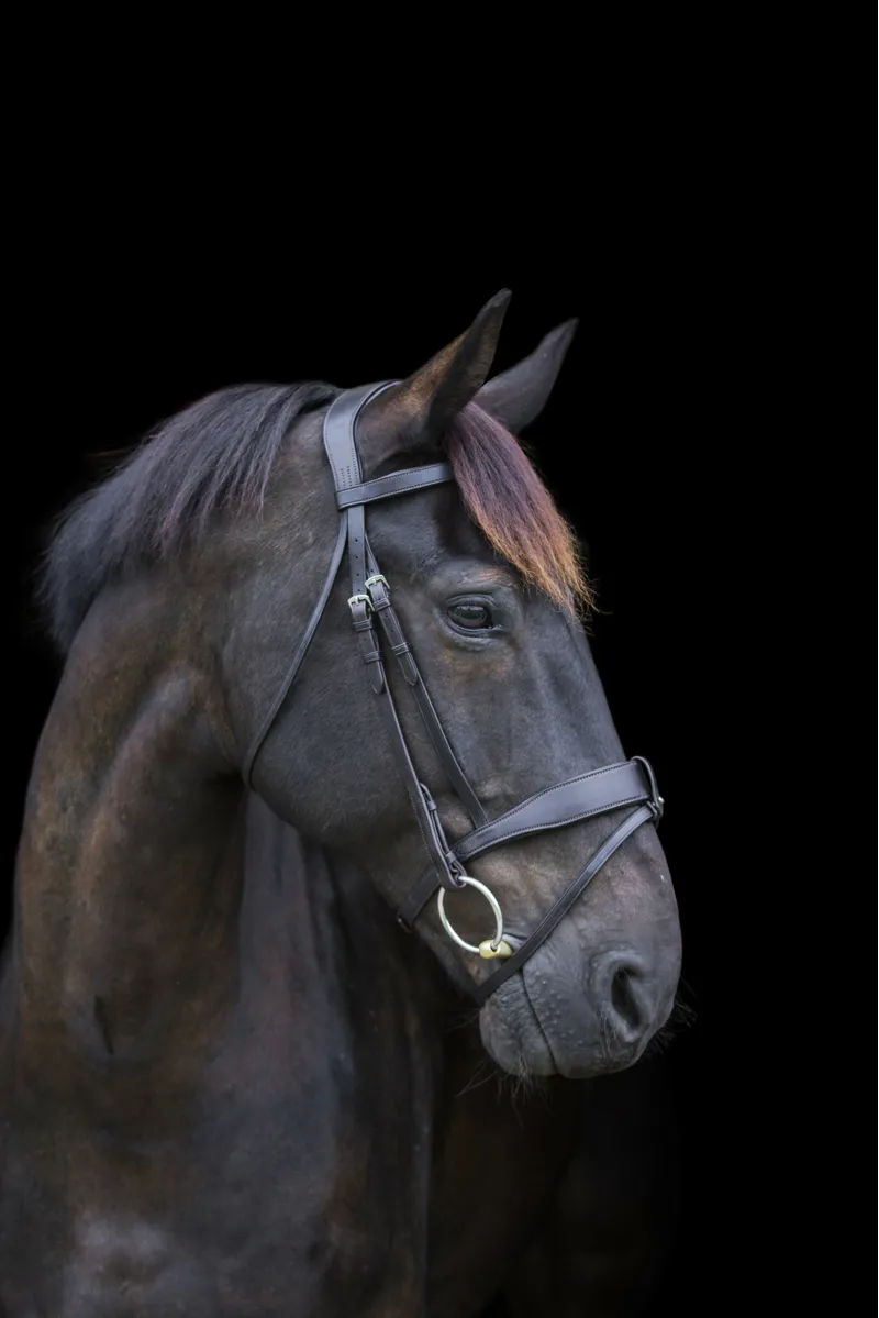 Ecorider Classic Show Comfort Bridle / Brown / Pony-1