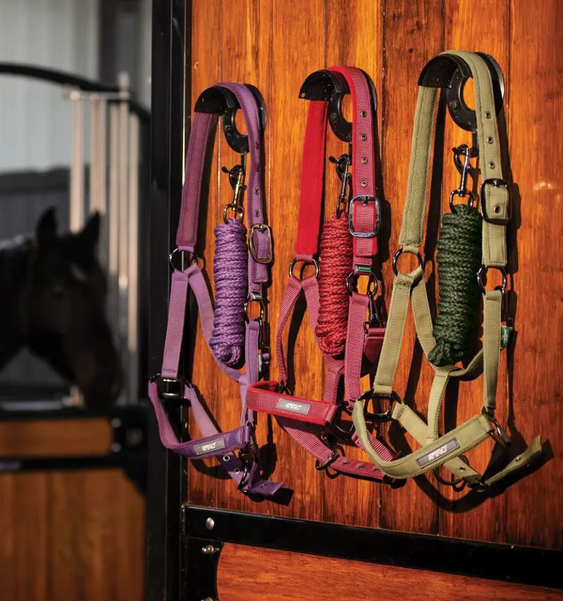 Amigo Headcollar and Leadrope-1