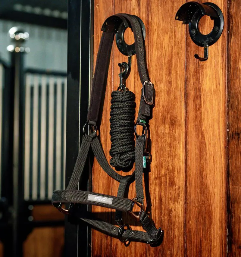Amigo Headcollar and Leadrope -1