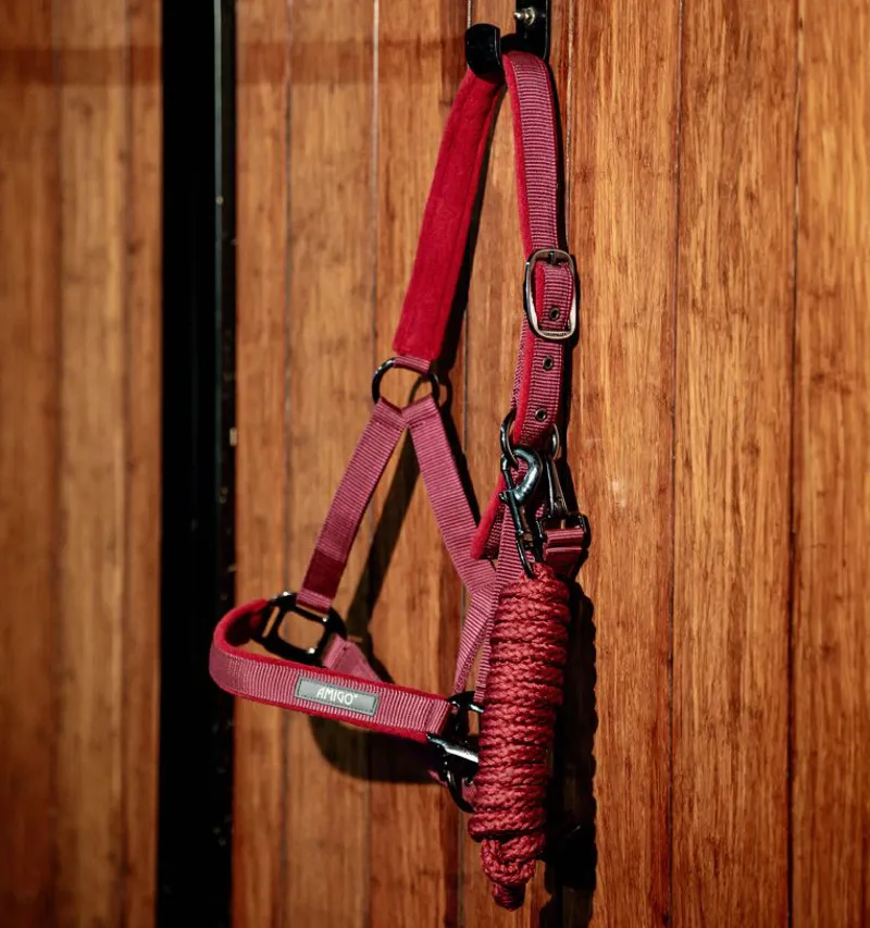 Amigo Headcollar and Leadrope-1