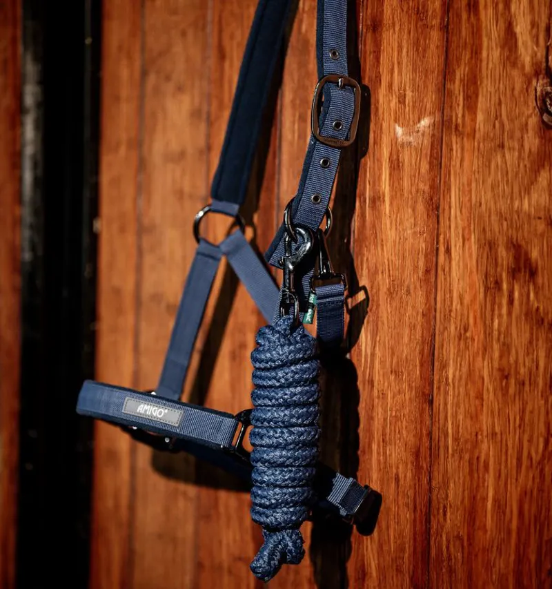 Amigo Headcollar and Leadrope-1