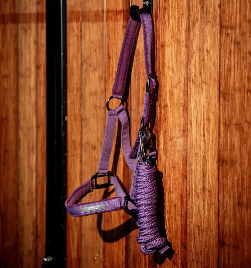 Amigo Headcollar and Leadrope-1