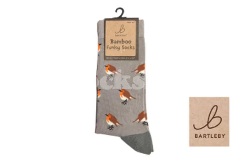 Bartleby Funky Welly Socks 4-7 Robin