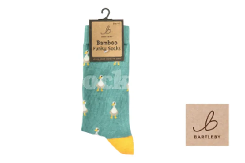 Bartleby Funky Bamboo Socks 4-7 White Duck