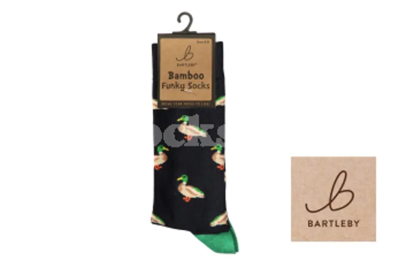 Bartleby Funky Bamboo Socks 6-11 Mallard