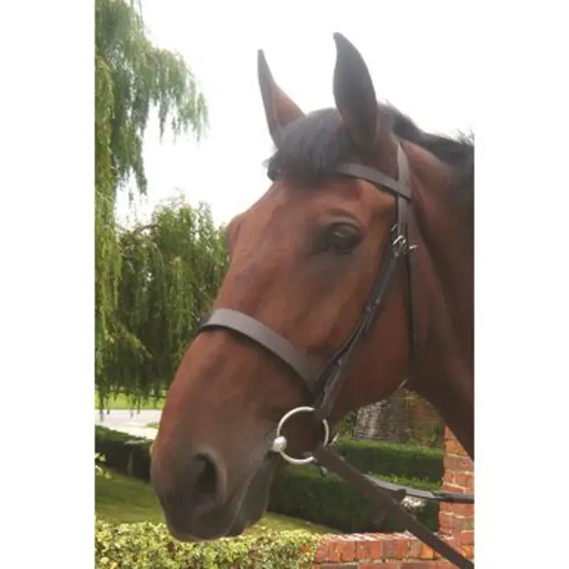 Mark Todd Full Hunter Bridle In Brown